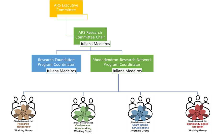 Research Committee and Research Network Working Group Structure